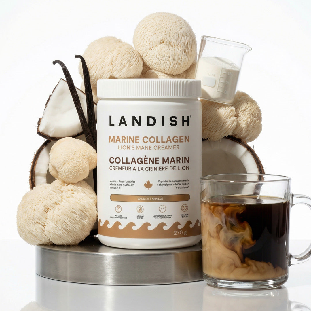 Marine Collagen Lion's Mane Creamer