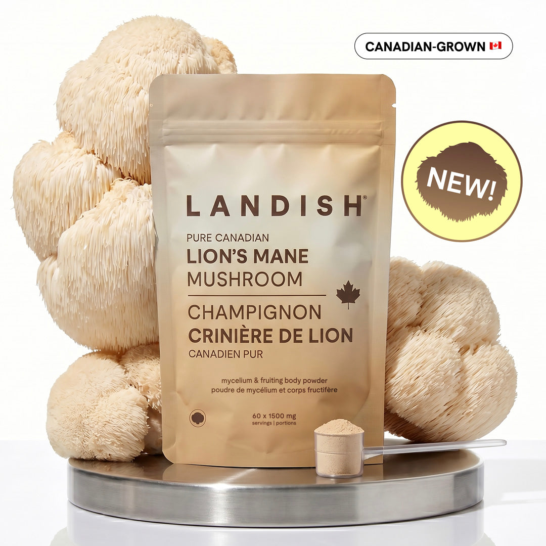 Pure Canadian Lion's Mane Mushroom