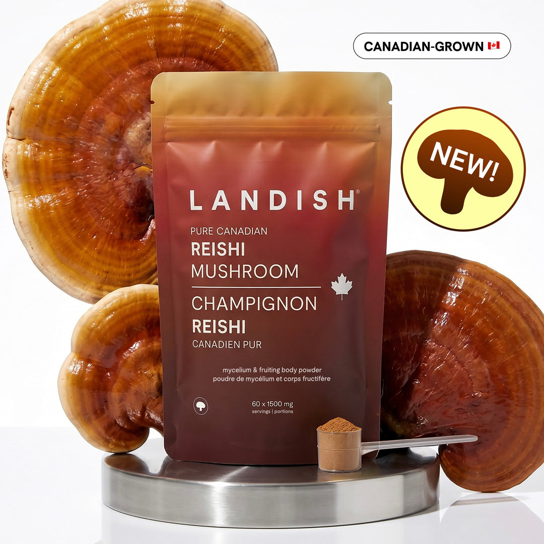 Pure Canadian Reishi Mushroom
